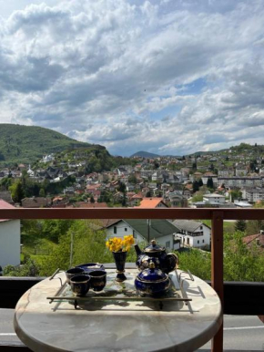 Apartment View
